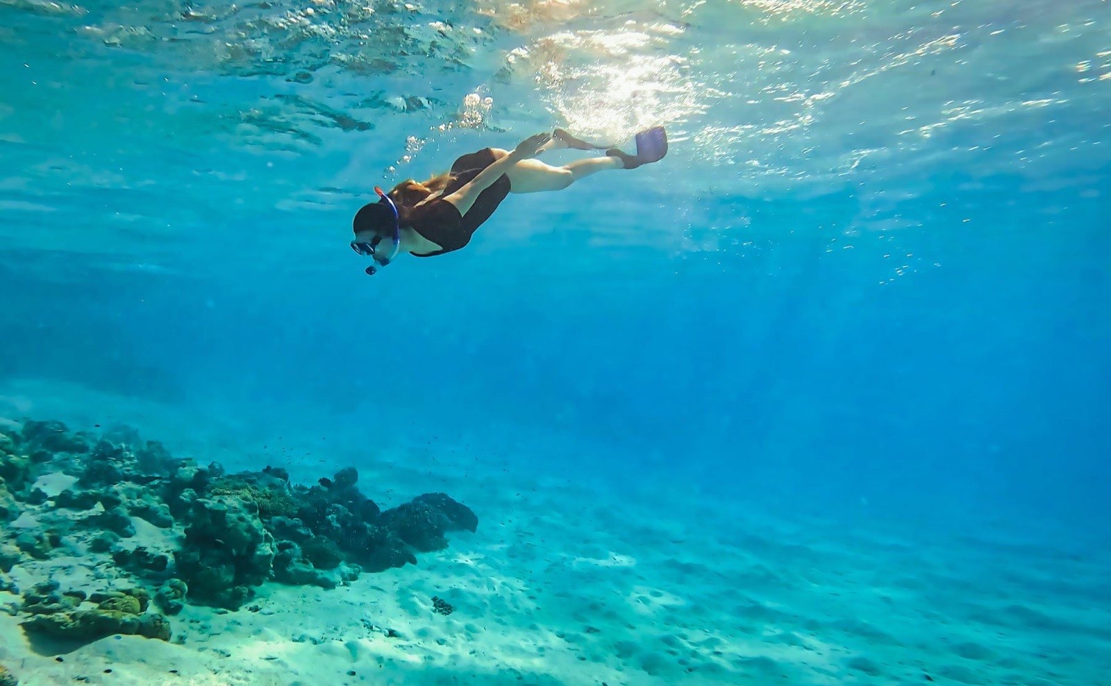 Coral and reef fish in clear blue water on the resort's house reef.